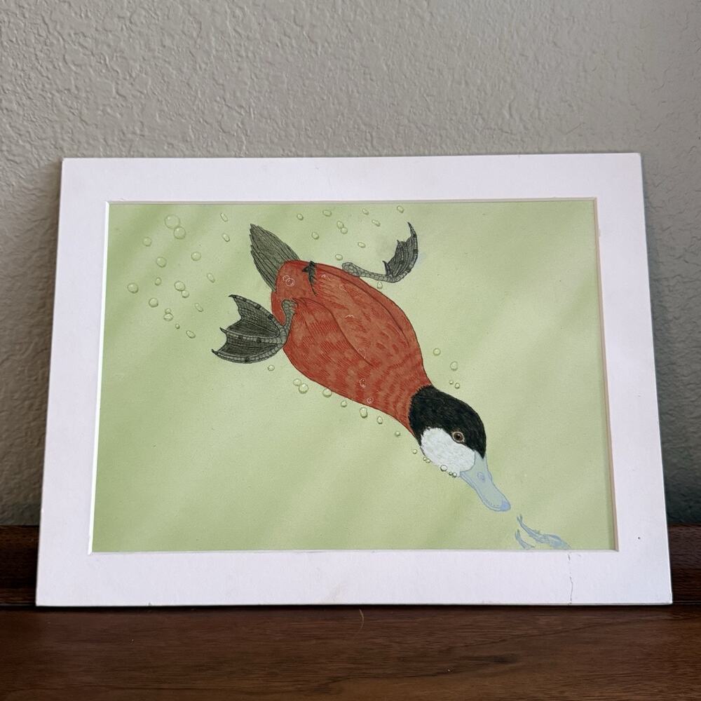 Stephen C. Swan 2014 Federal Duck Stamp Contest Entry Ruddy Duck Acrylic Print